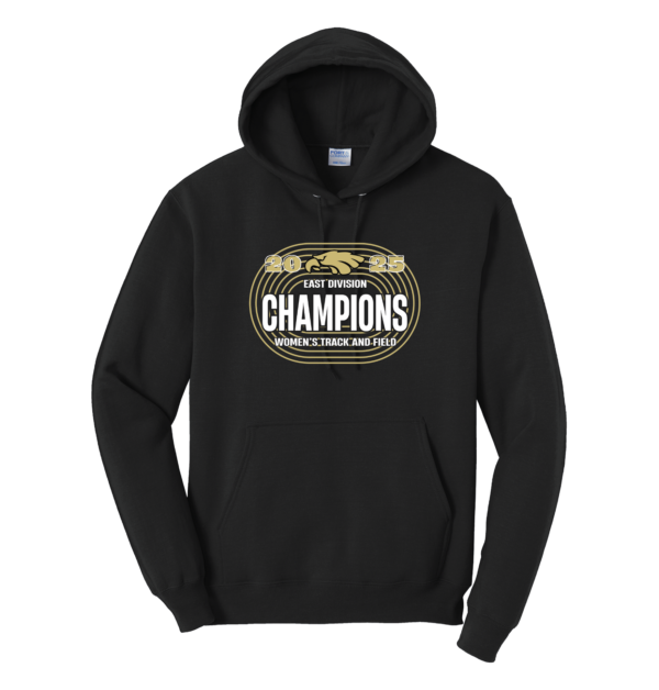 Division Champions Blend Hooded Sweatshirt