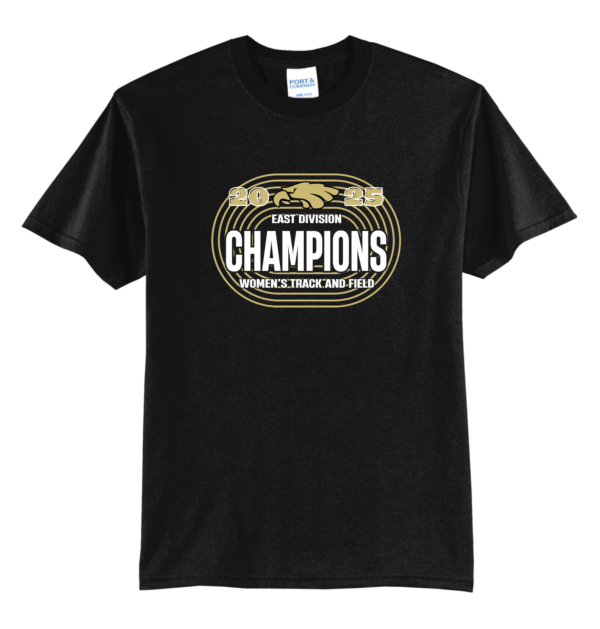 Division Champions Blend Tee